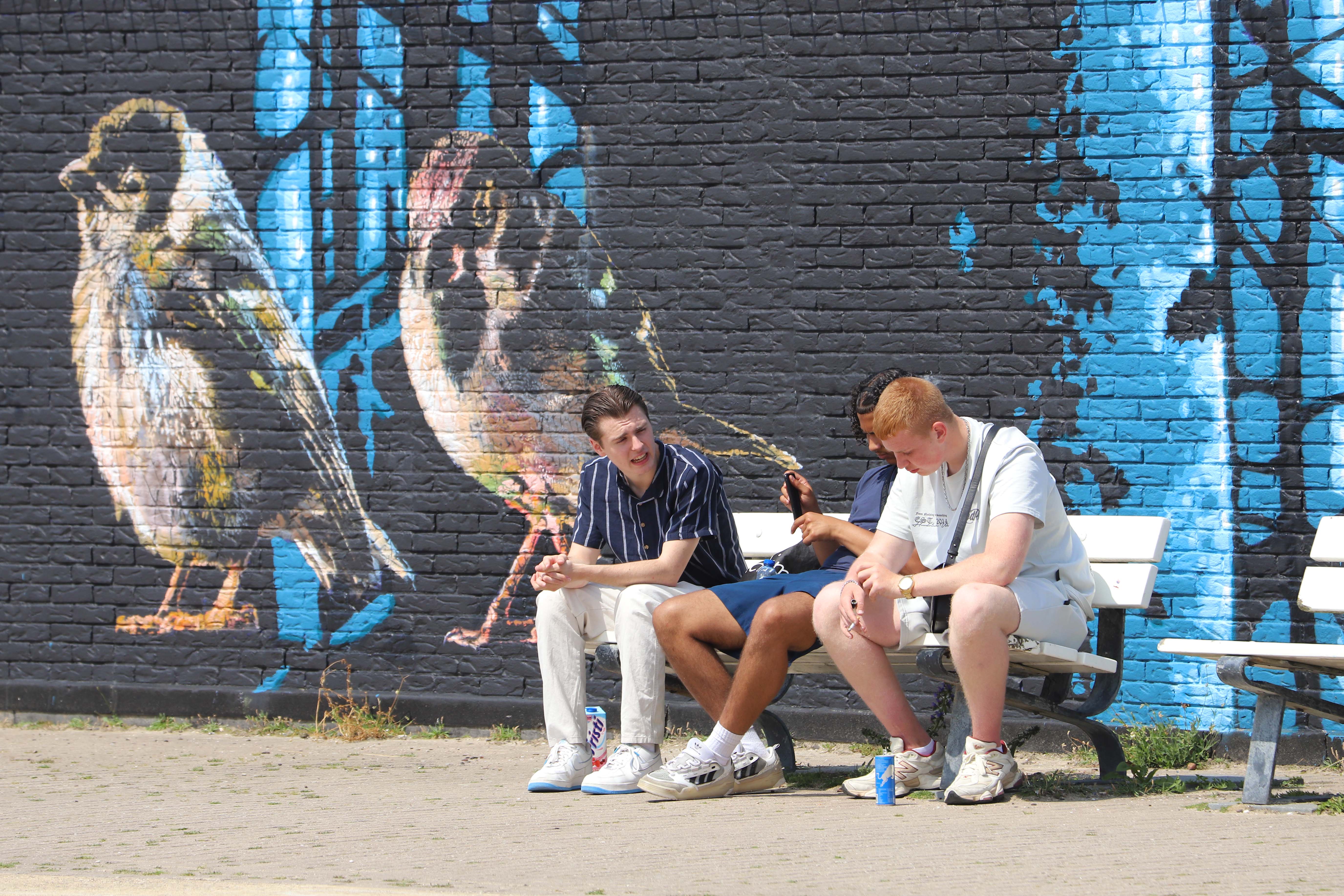 Image is not available